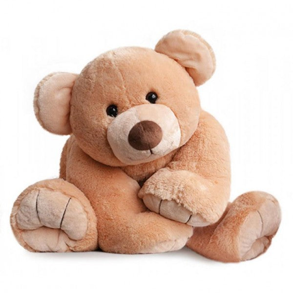 Gros ours miel 65 cm