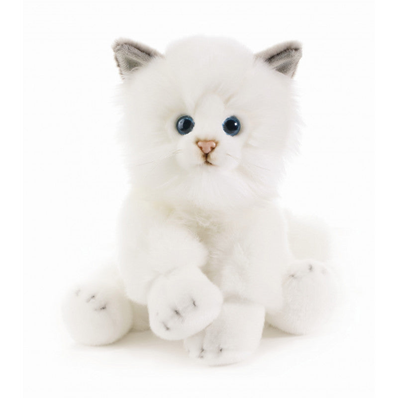 Peluche chat blanc Raji 30 cm