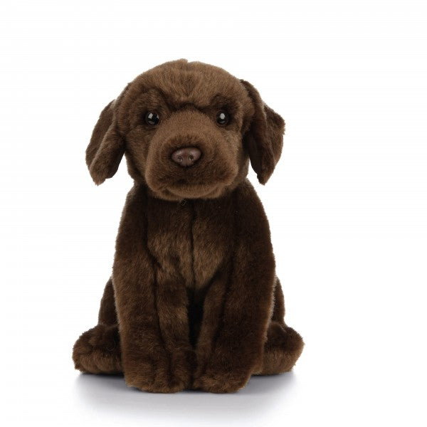 Peluche chien Labrador brun 22 cm -