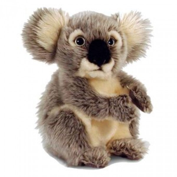 Peluche koala 20 cm