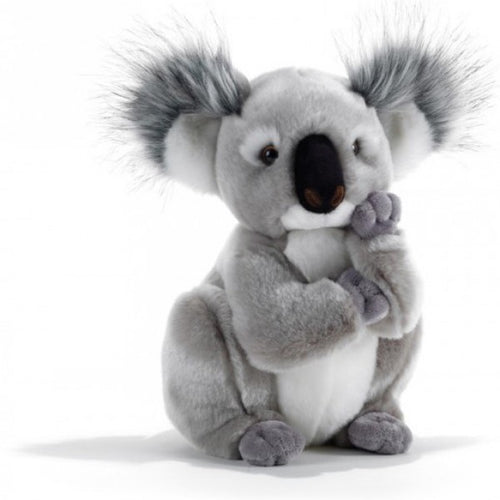 Peluche Koala géant • Ma Peluche