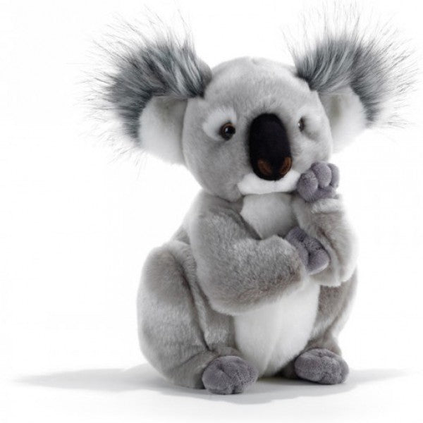 Peluche Koala 28cm - Les peluches Keel toys, du très haut de gamme et un  réalisme surprenant.