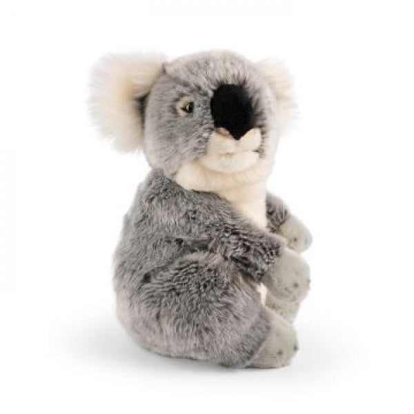 Peluche Koala 15cm